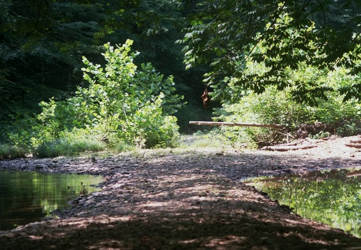 Gladie Creek &amp; Red River